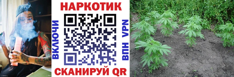Где купить наркотики Красково МАРИХУАНА  Alpha PVP  Кокаин  ГАШИШ  Меф 
