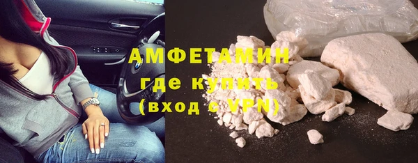 МДПВ Инсар