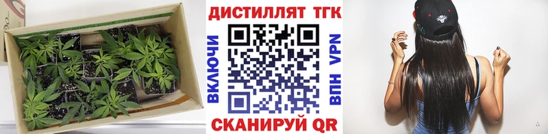 Дистиллят ТГК жижа  кракен вход  Красково 