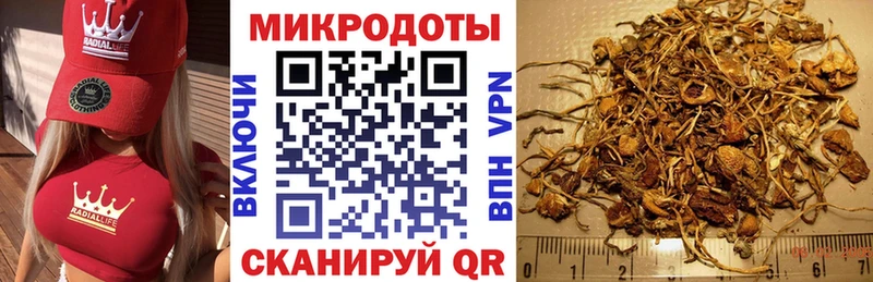дарнет шоп  Красково  Псилоцибиновые грибы мицелий 